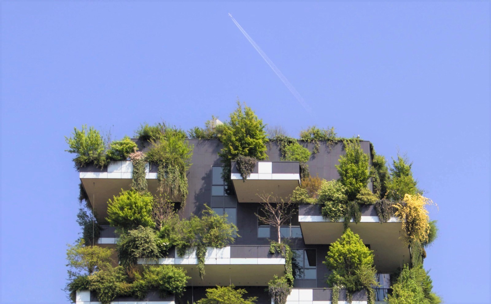 Foto del Bosco verticale di Milano con aereo che vola in alto nel cielo
